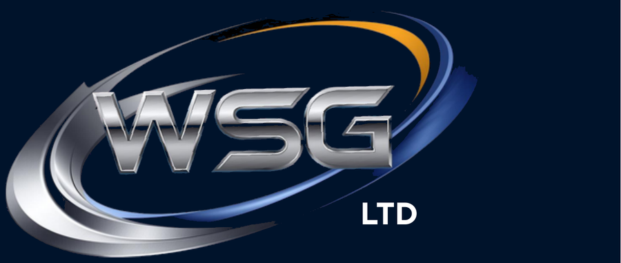 Wint Security Group Ltd